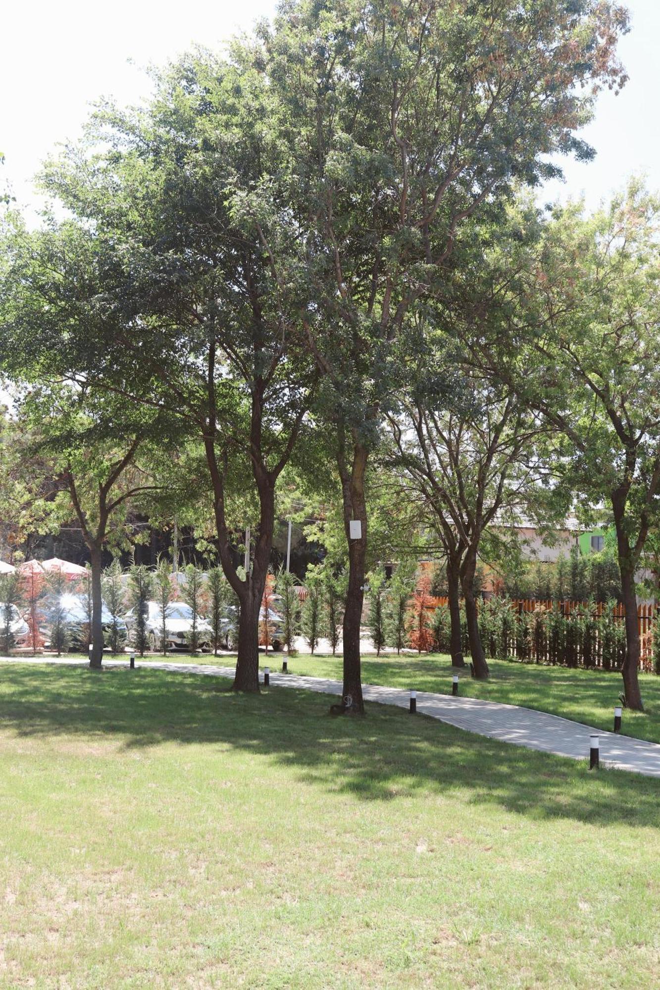 Noima Hotel & Suites Velipojë المظهر الخارجي الصورة